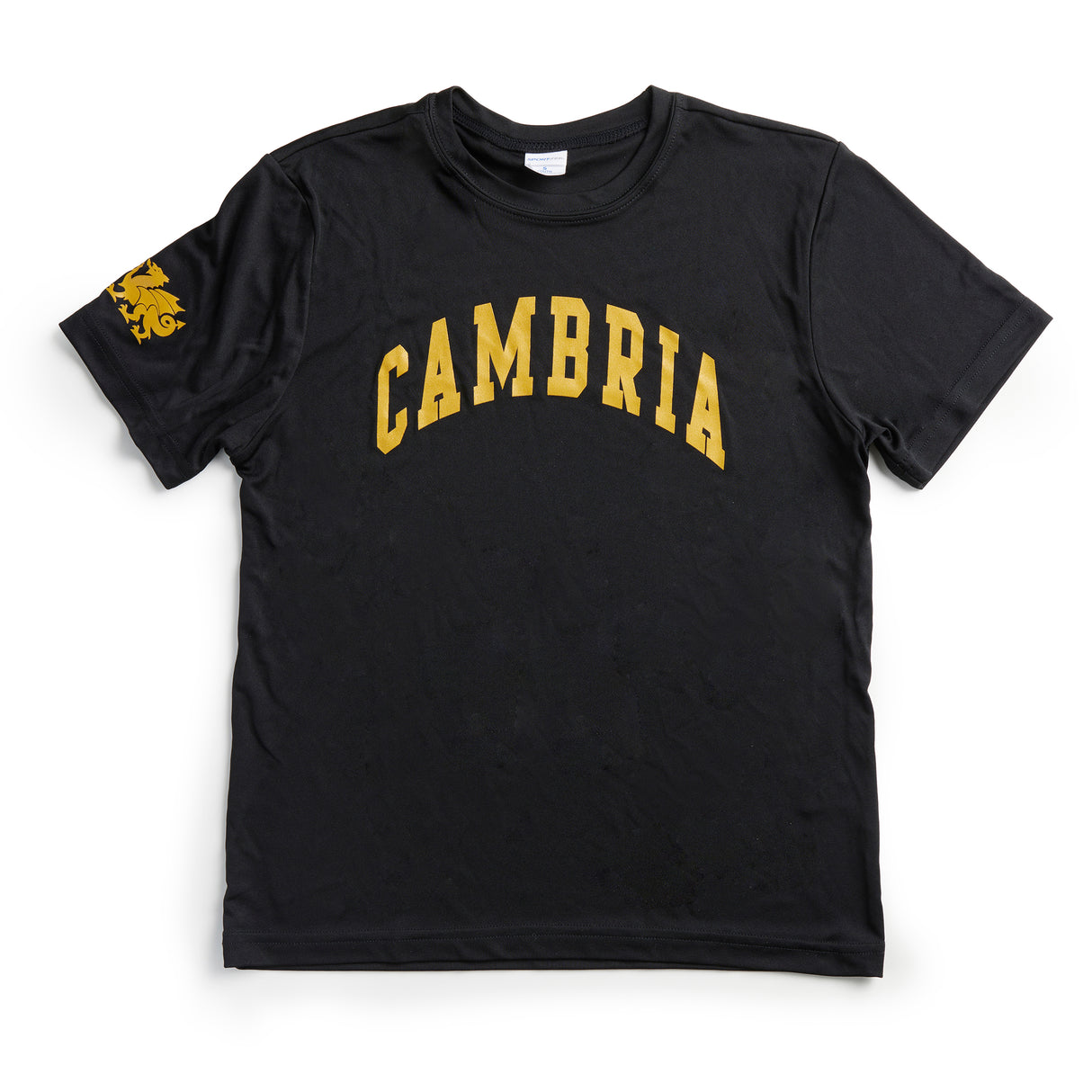 Cambria Youth Collegiate Tee