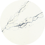Vein
