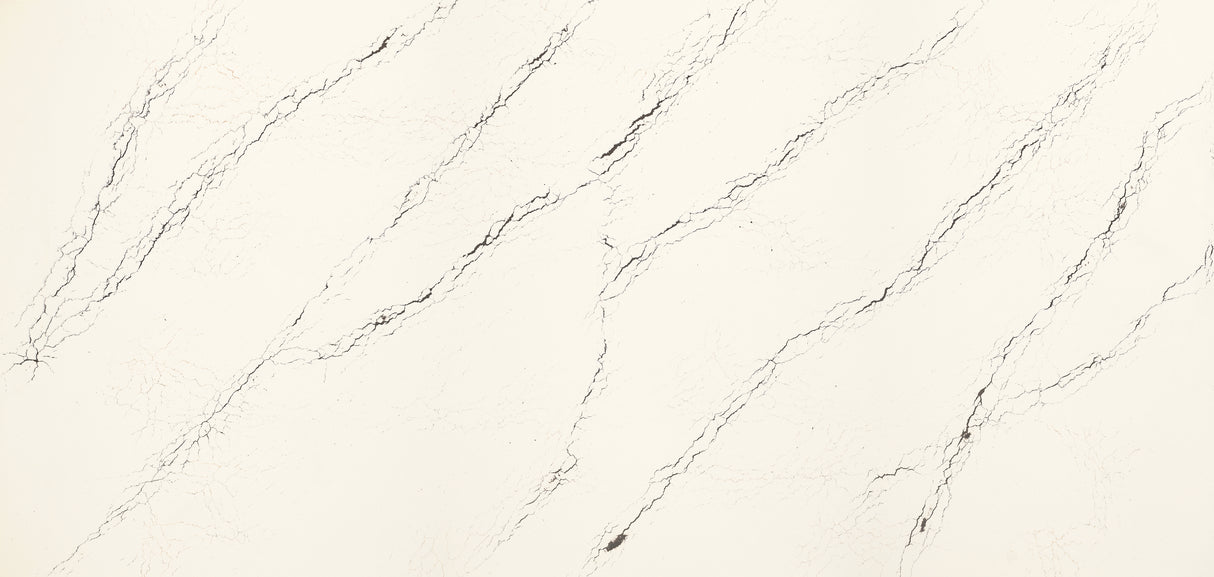 Inverness Platinum Quartz Slab