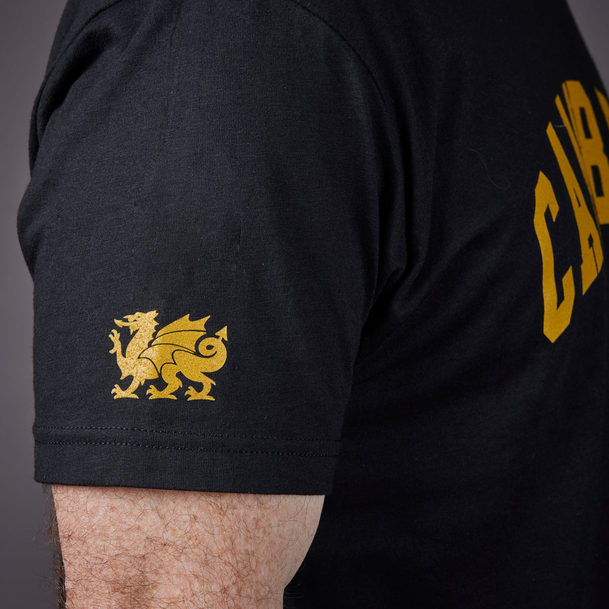 Cambria Collegiate Tee