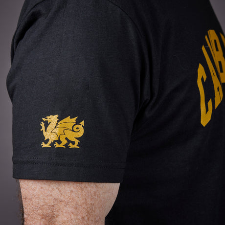 Cambria Collegiate Tee