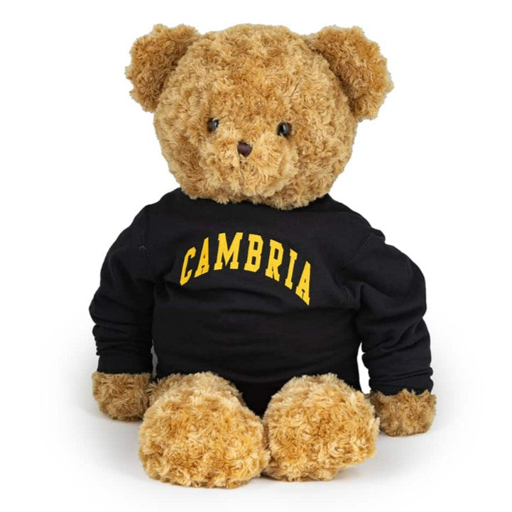 Cambria Collegiate Bear