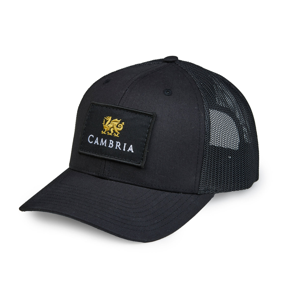 Northern Lids Black Trucker Hat – Cambria Samples Store