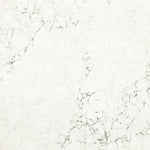 Whitendale Quartz Sample - Cambria Quartz Surfaces – Cambria Samples Store