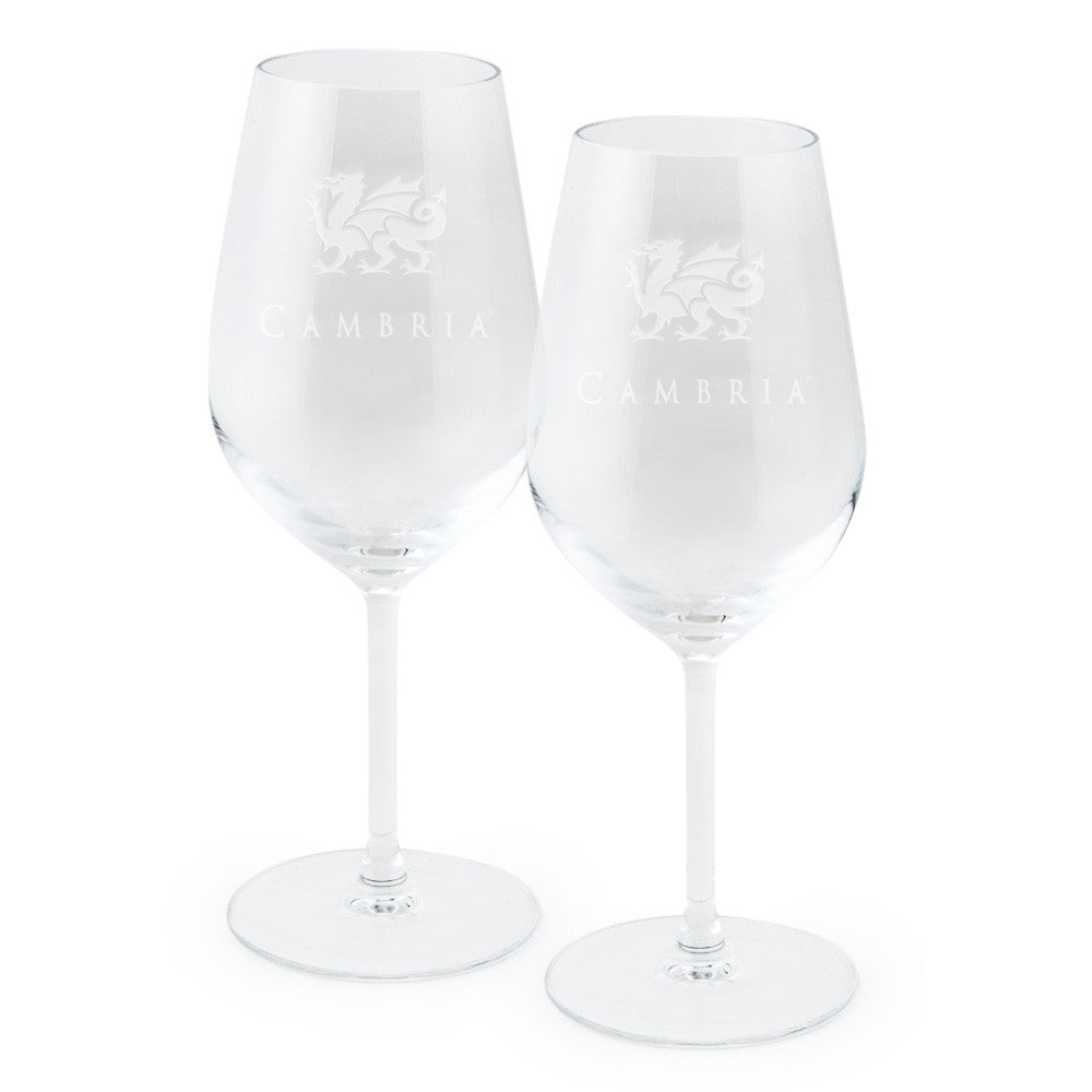 17 oz. Stemless White Wine Glass - Set of 2