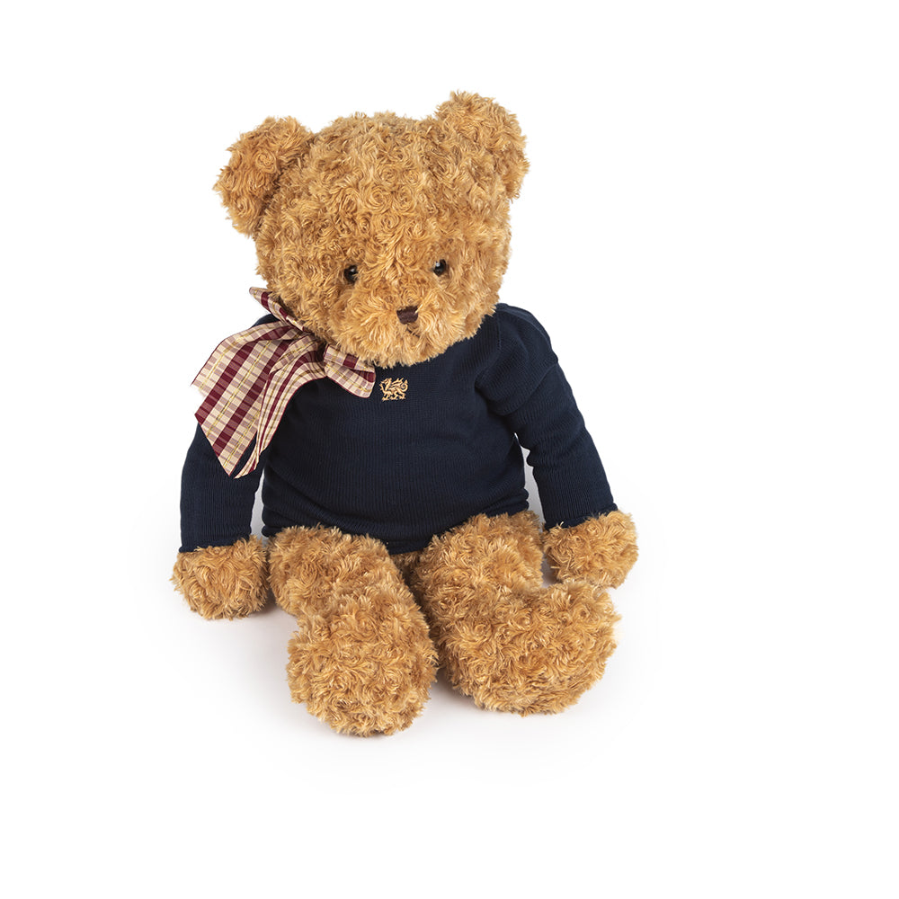 Plush Teddy Bear with Sweater - Navy or Pink