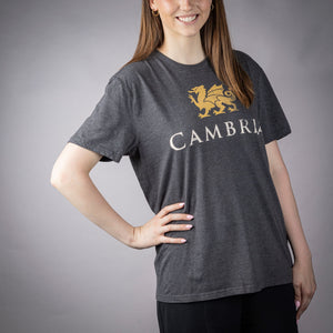 Cambria Butterwash Gray Tee
