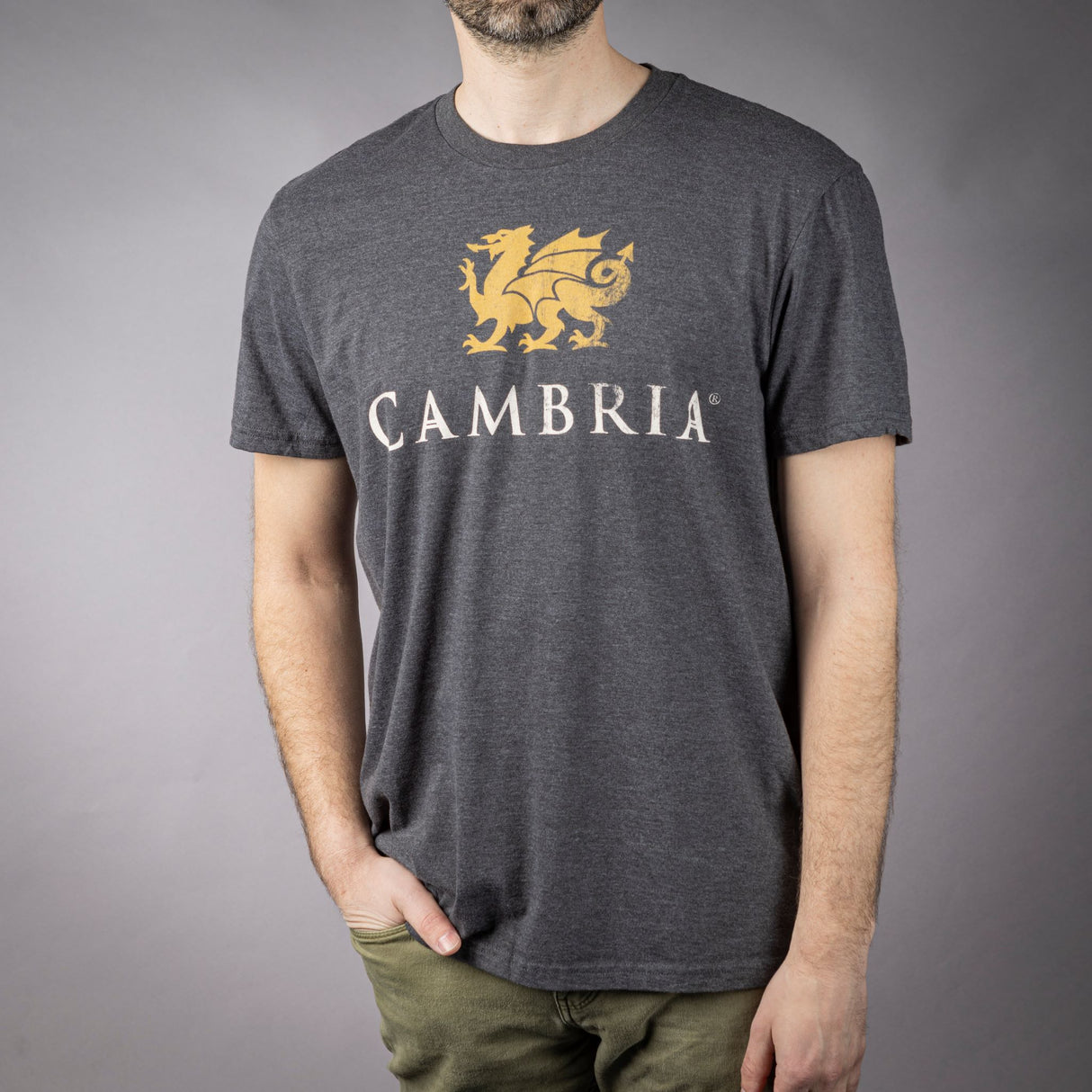 Cambria Butterwash Gray Tee