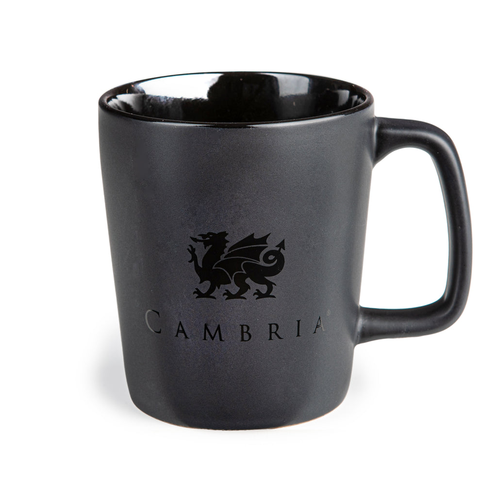 Cambria Black on Black Matte Mug