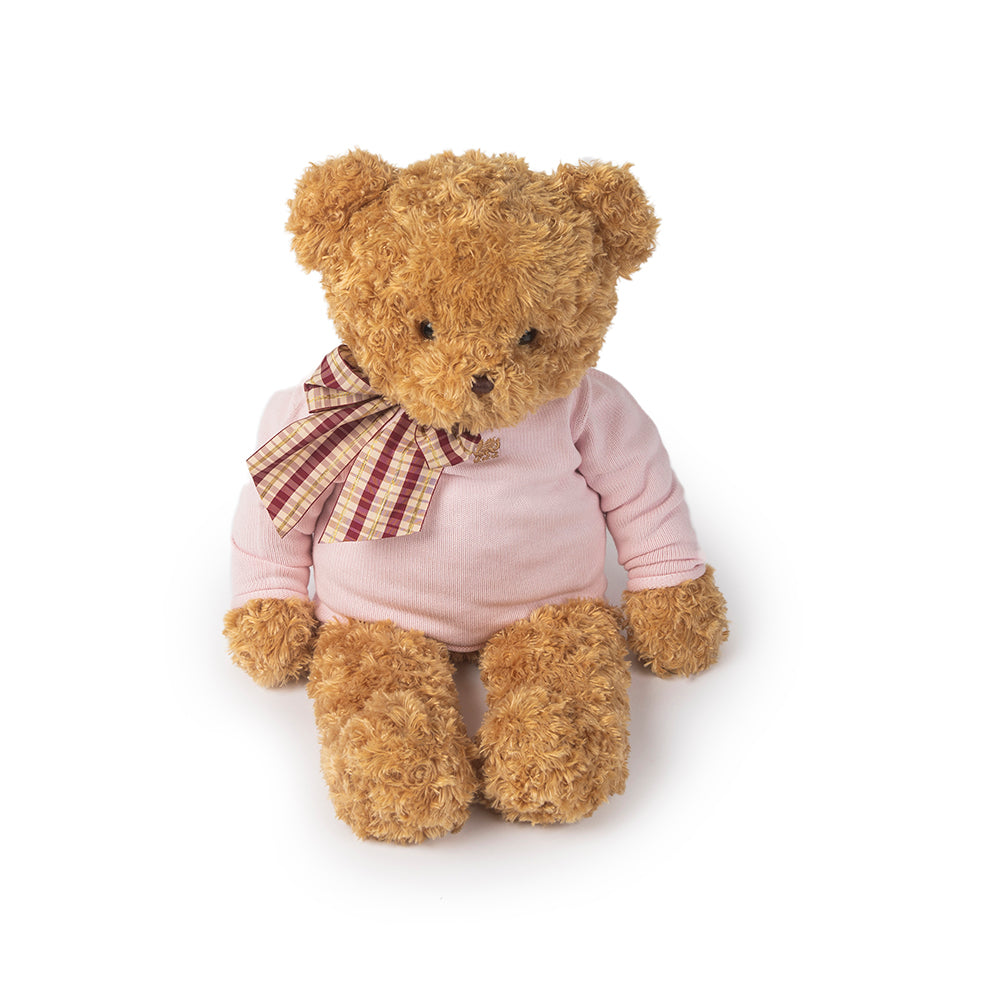 Plush Teddy Bear with Sweater - Navy or Pink