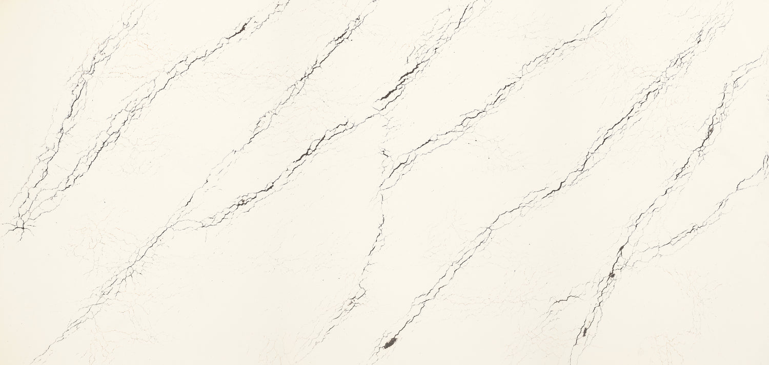 Inverness Platinum Quartz Slab