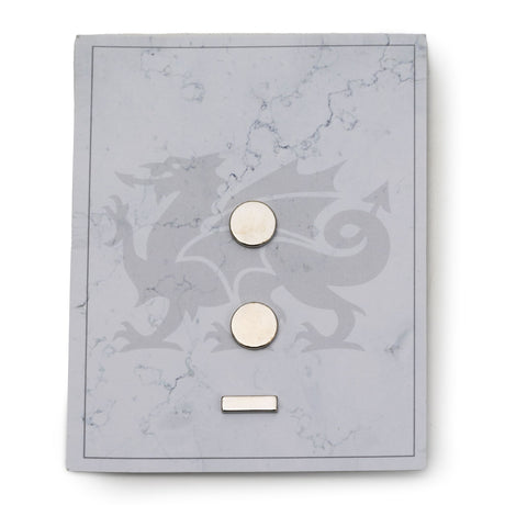 Cambria Enamel Pin Set