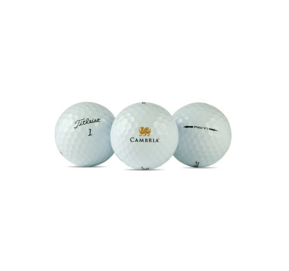 Titleist Pro V1 Golf Balls – Cambria Life + Style